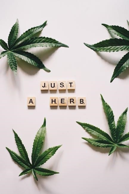 making herbal medicine pdf