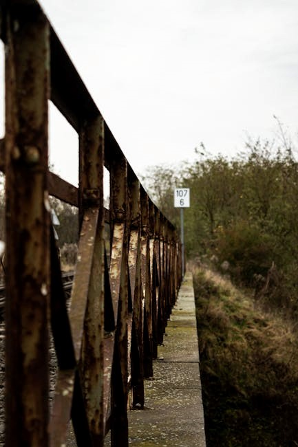 the abandoned wife lucian pdf download